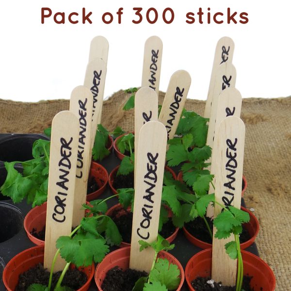 Wooden Biodegradable Plant Sticks pack of 300