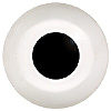 Round Pupil Dome Shape Glass Bird Eyes