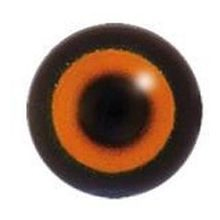 Multi - coloured Round Pupil Dome Shape Acrylic Bird Eyes