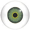 Multi-Coloured glass mannequin eye - white hemisphere backing