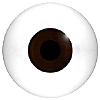 High quality, hand blown Human or Doll eyes without veining