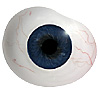 High quality, Shell Shaped hand blown Human or Doll eyes with veining