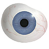 High quality, Shell Shaped hand blown Human or Doll eyes with veining