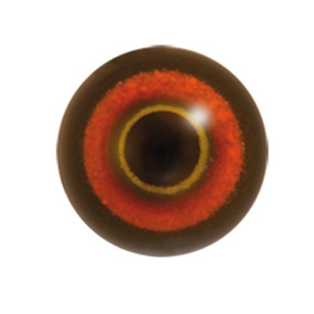 Multi - coloured Round Pupil Dome Shape Acrylic Bird Eyes