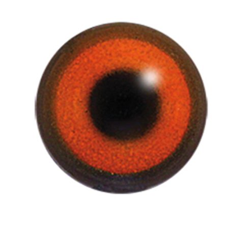 Multi-coloured Round Pupil Dome Shape Acrylic Bird Eyes